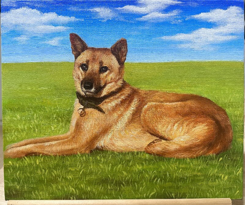 Hand-painting Pet Portrait Dog T005