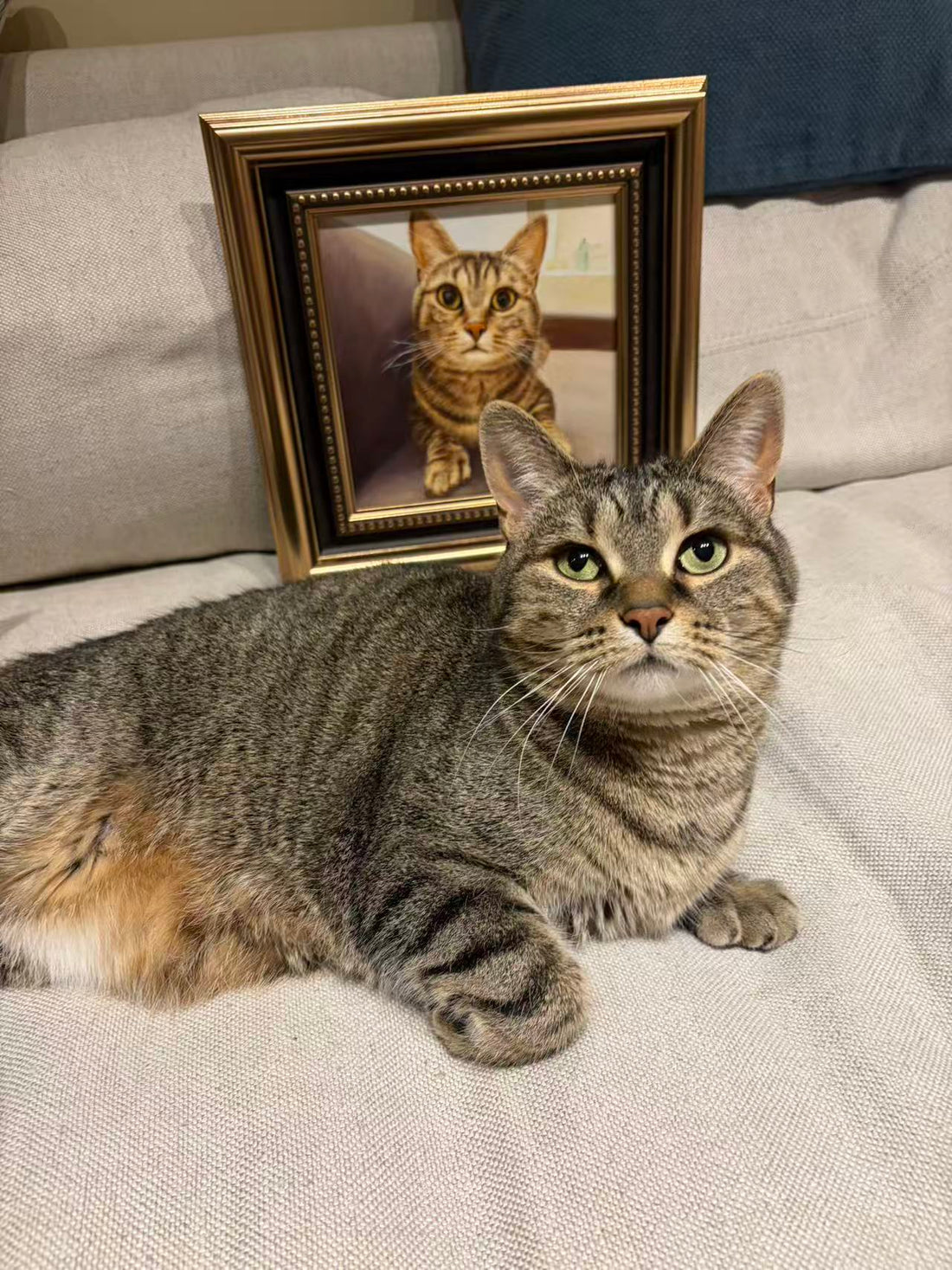 🐾 Why Custom Pet Oil Portraits Are America’s Most Meaningful Personalized Gifts🐾