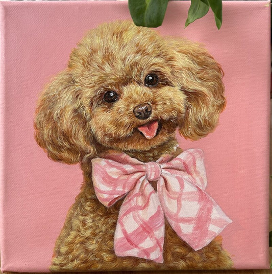 Hand-painting Pet Portrait Teddy Dog T002