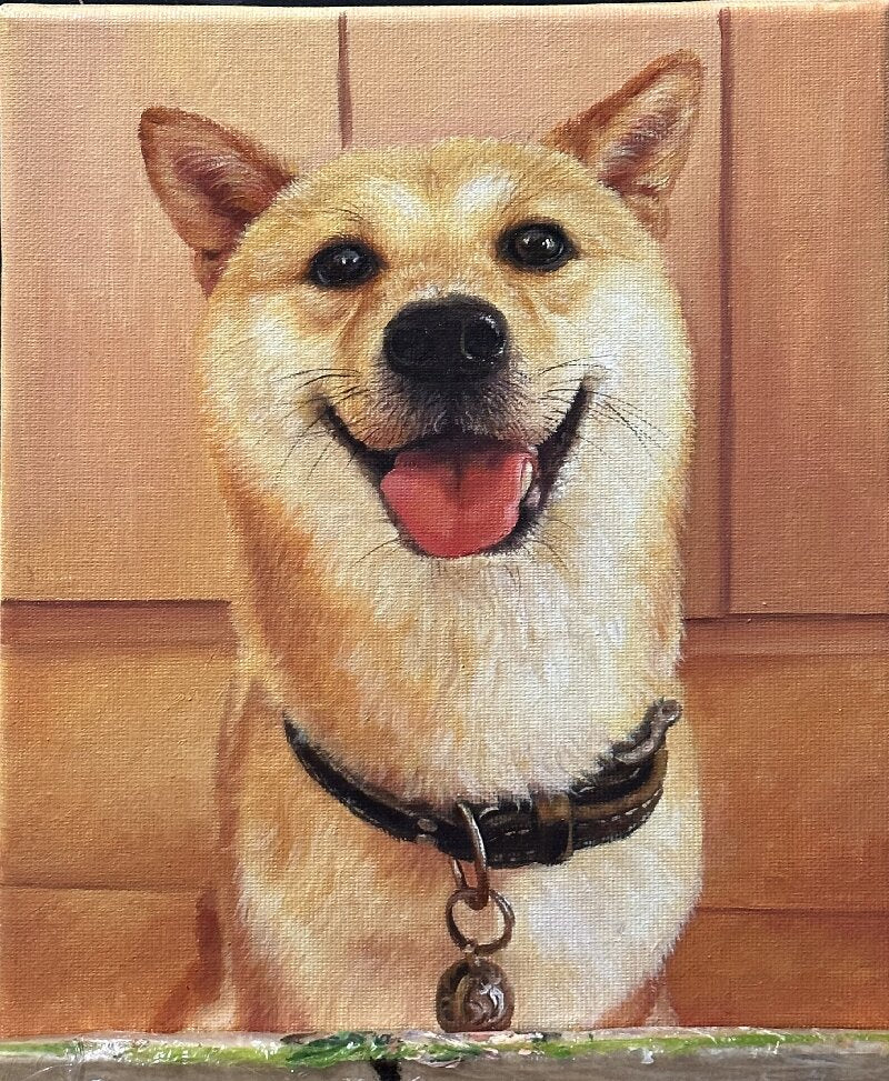 Hand-painting Pet Portrait Shiba Inu T004