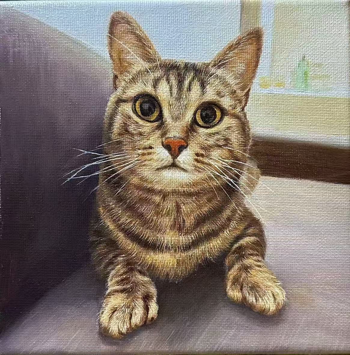 Hand-painting Pet Portrait  Tiger-striped Cat T001