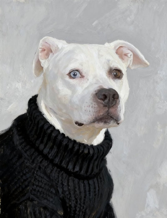Pet Portrait Giclee Print   Dogo Argentino M006