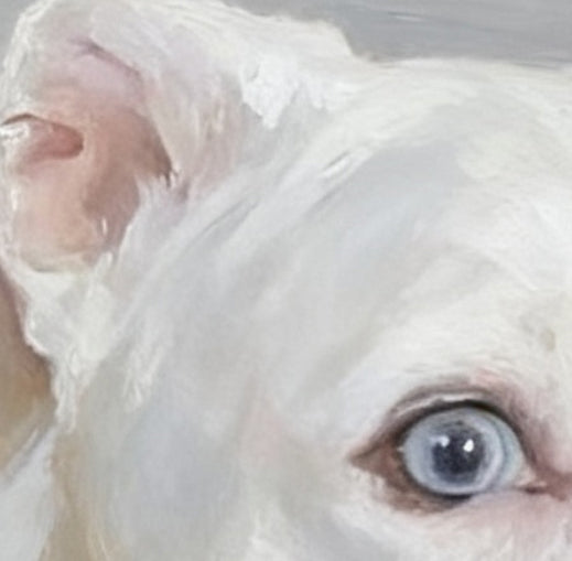 Pet Portrait Giclee Print   Dogo Argentino M006