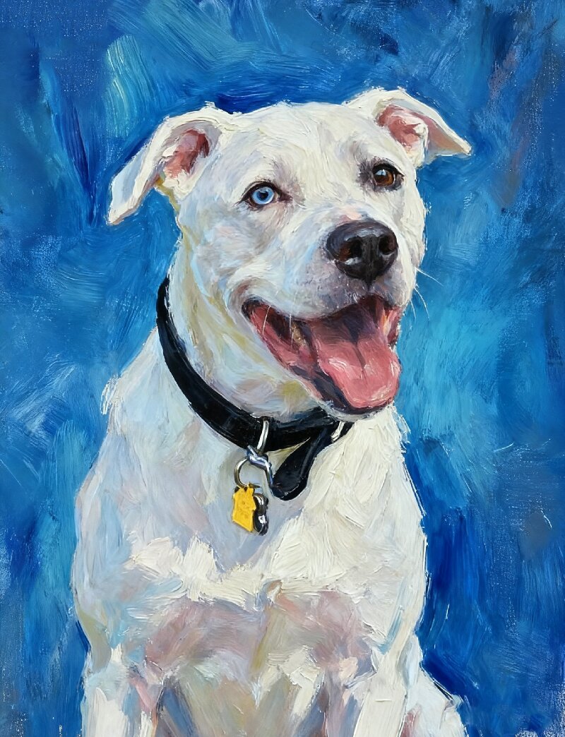 Pet Portrait Giclee Print   Dogo Argentino  M007